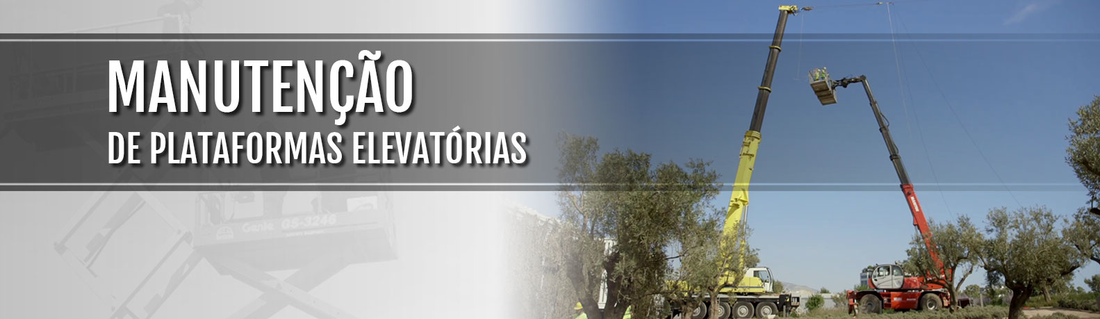 banner3